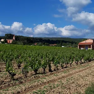 Hébergement de vacances Au Milieu Des Vignes, Le Castellet (Var)